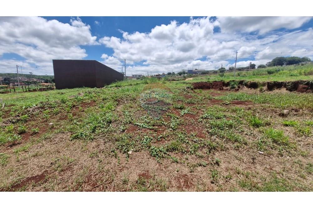 Terreno - Venda - Dumont , São Paulo - WhatsApp Image 2026-02-27 at 12.52.29 (12).jpeg - 780181011-292