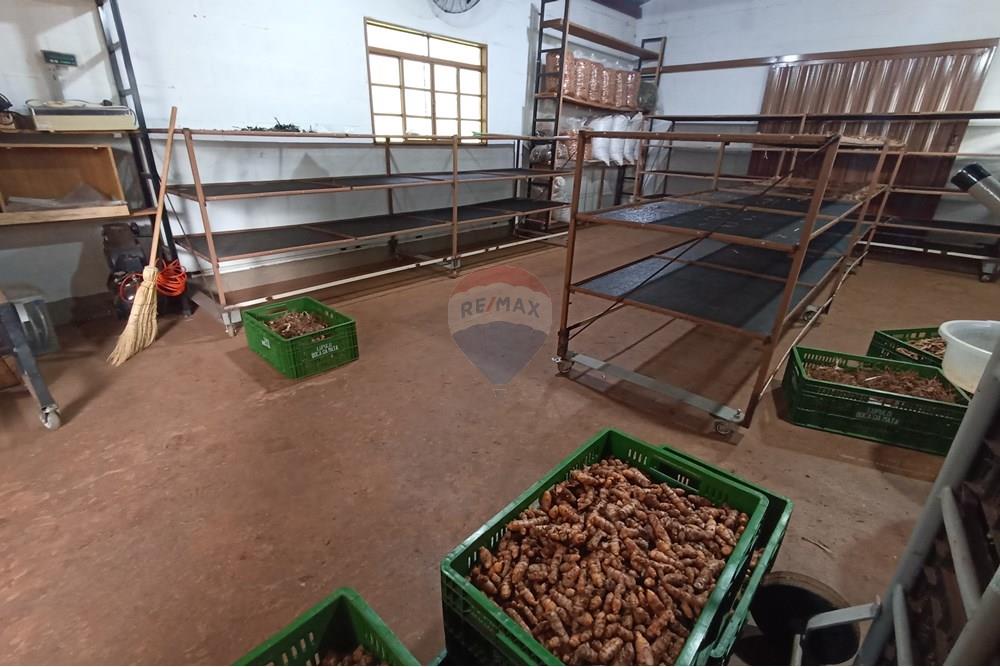 Fazenda - Venda - Cajuru , São Paulo - IMG_20241031_162845.jpg - 780271061-50