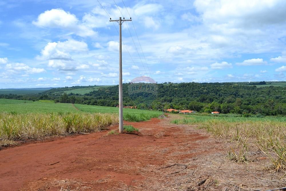 Agro - Venda - Luís Antônio , São Paulo - DSC_0124.JPG - 780071080-2