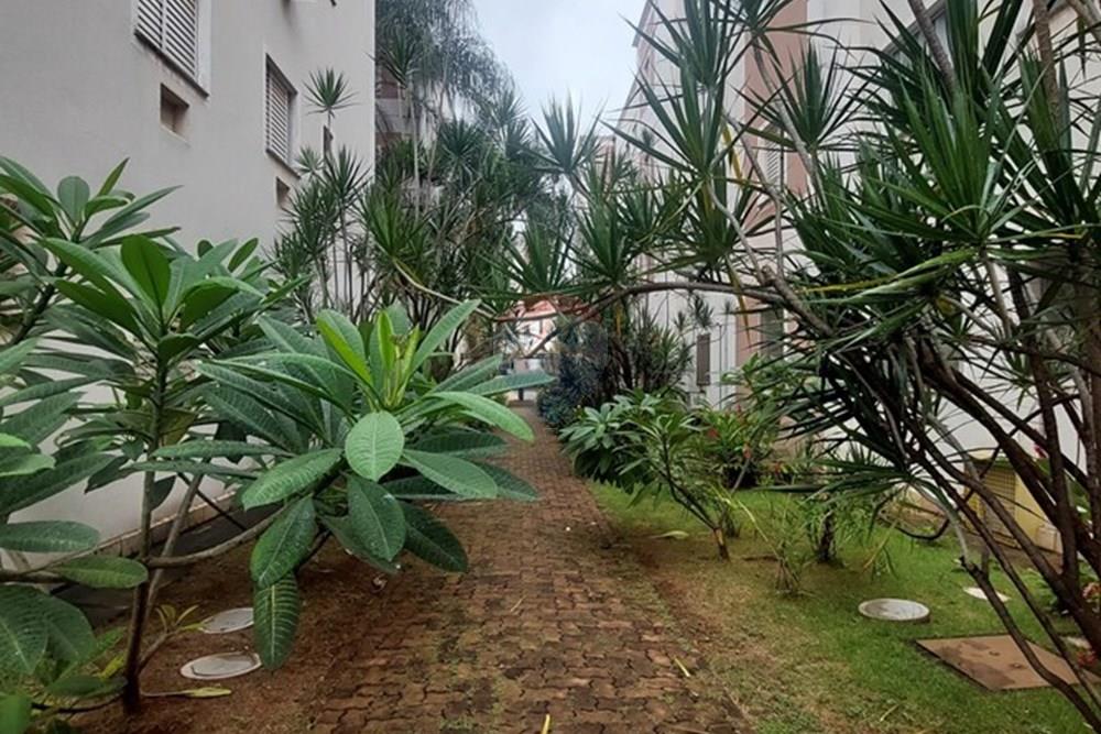 Apartamento - Venda - Ribeirão Preto , São Paulo - 20260224_101941.jpg - 780071076-24