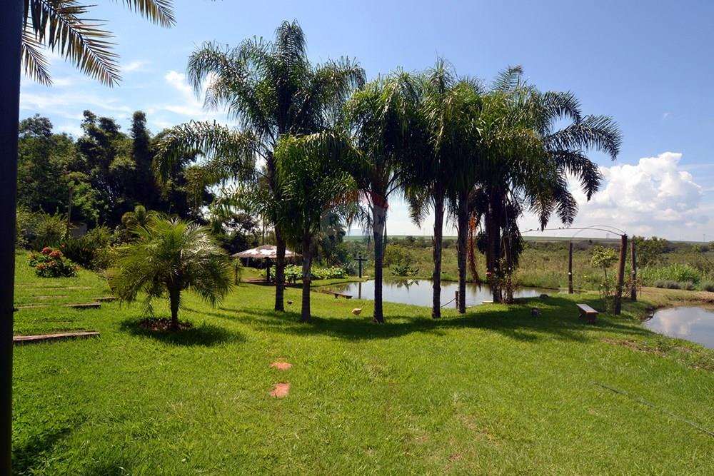 Chácara / Sítio / Fazenda - Venda - Ribeirão Preto , São Paulo - 06 - Copia - Copia - Copia - Copia.JPG - 780151006-140