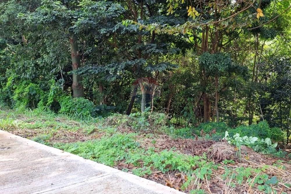 Terreno - Venda - Ribeirão Preto , São Paulo - WhatsApp Image 2025-04-03 at 11.02.17.jpeg - Jardim Externo - 780181033-22