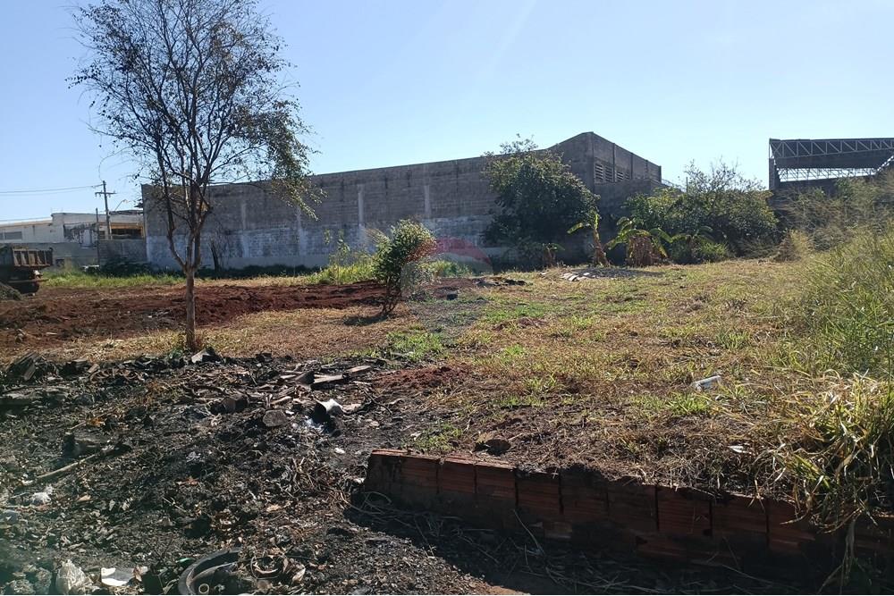 Terreno - Venda - Ribeirão Preto , São Paulo - IMG_20250626_104833.jpg - 780181007-772