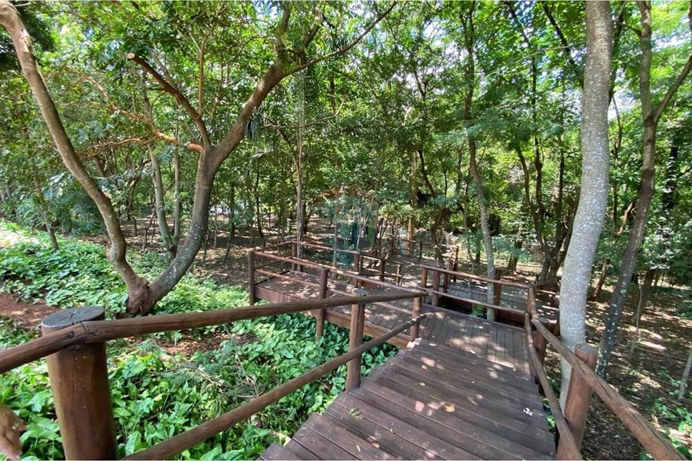 Terreno - Venda - Ribeirão Preto , São Paulo - WhatsApp Image 2026-01-31 at 19.40.25.jpeg - 780171024-60