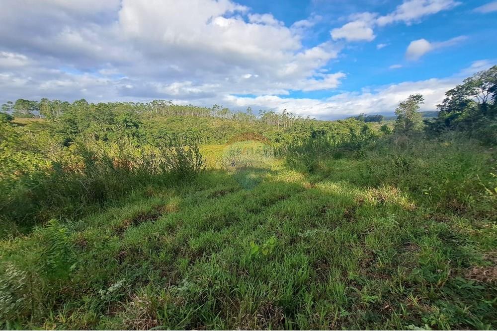 Fazenda - Venda - Cajuru , São Paulo - IMG-20250406-WA0179.jpg - 780171030-57