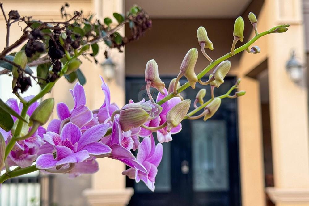 Casa de Condomínio - Venda - Ribeirão Preto , São Paulo - IMG_7772.jpg - 780151047-8