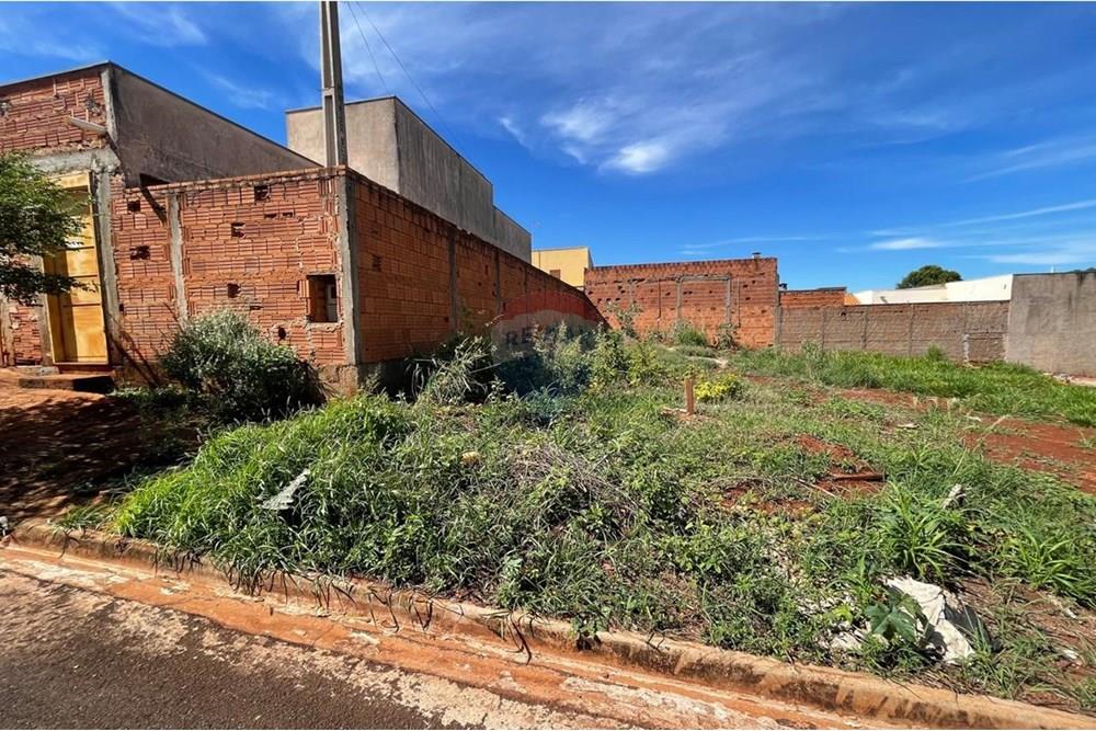 Terreno - Venda - São Joaquim da Barra , São Paulo - IMG-20251126-WA0069.jpg - 780301001-20