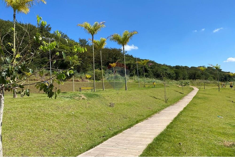 Terreno - Venda - Ribeirão Preto , São Paulo - 3.jpeg - 780171003-222
