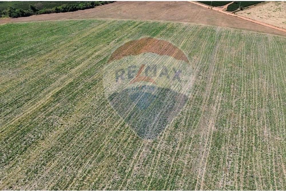 Fazenda - Venda - Patrocínio Paulista , São Paulo - 5 Aérea.jpg - 780201085-4