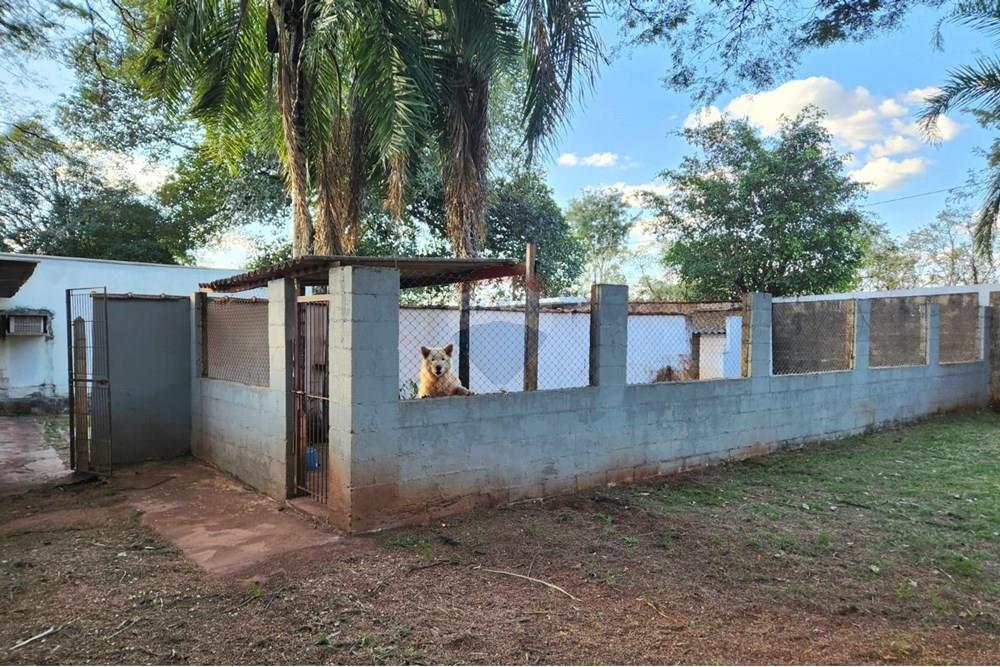 Chácara / Sítio / Fazenda - Venda - Ribeirão Preto , São Paulo - WhatsApp Image 2025-06-27 at 11.00.54 (3).jpeg - 780091032-138