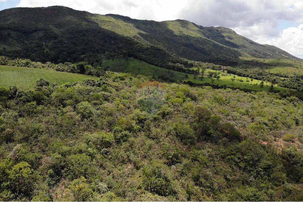 Chácara / Sítio / Fazenda - Venda - Delfinópolis , Minas Gerais - DJI_0051.JPG - 780251001-45