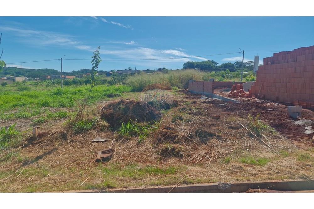 Terreno - Venda - Dumont , São Paulo - WhatsApp Image 2026-04-06 at 11.15.36.jpeg - 780181011-299