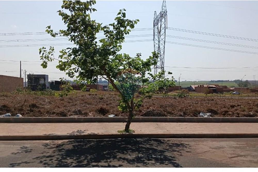 Terreno - Venda - Ribeirão Preto , São Paulo - 5.jpeg - 780171003-243