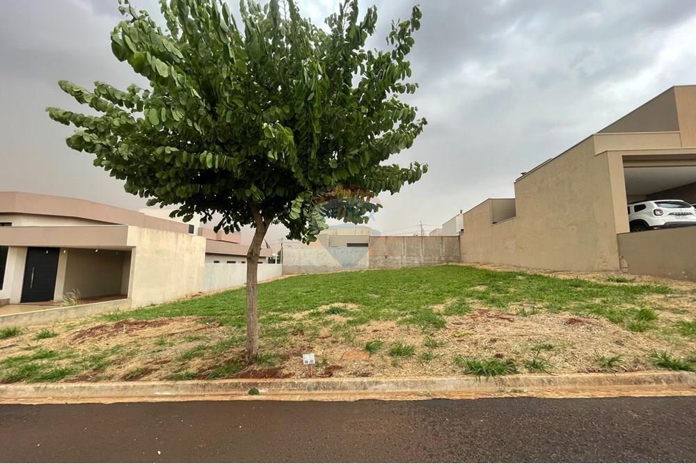 Terreno - Venda - Ribeirão Preto , São Paulo - WhatsApp Image 2025-10-27 at 12.05.31 (1).jpeg - 780171048-102