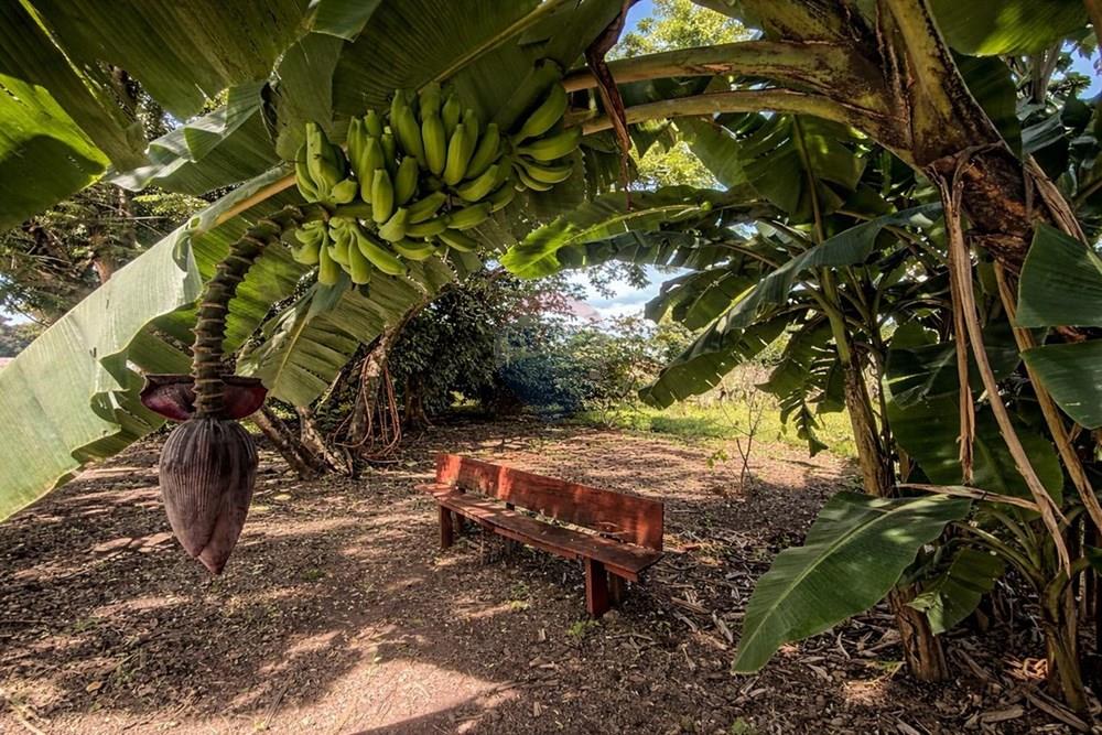 Chácara / Sítio / Fazenda - Venda - Sertãozinho , São Paulo - WhatsApp Image 2026-03-17 at 01.09.05 (2).jpeg - 780191016-54