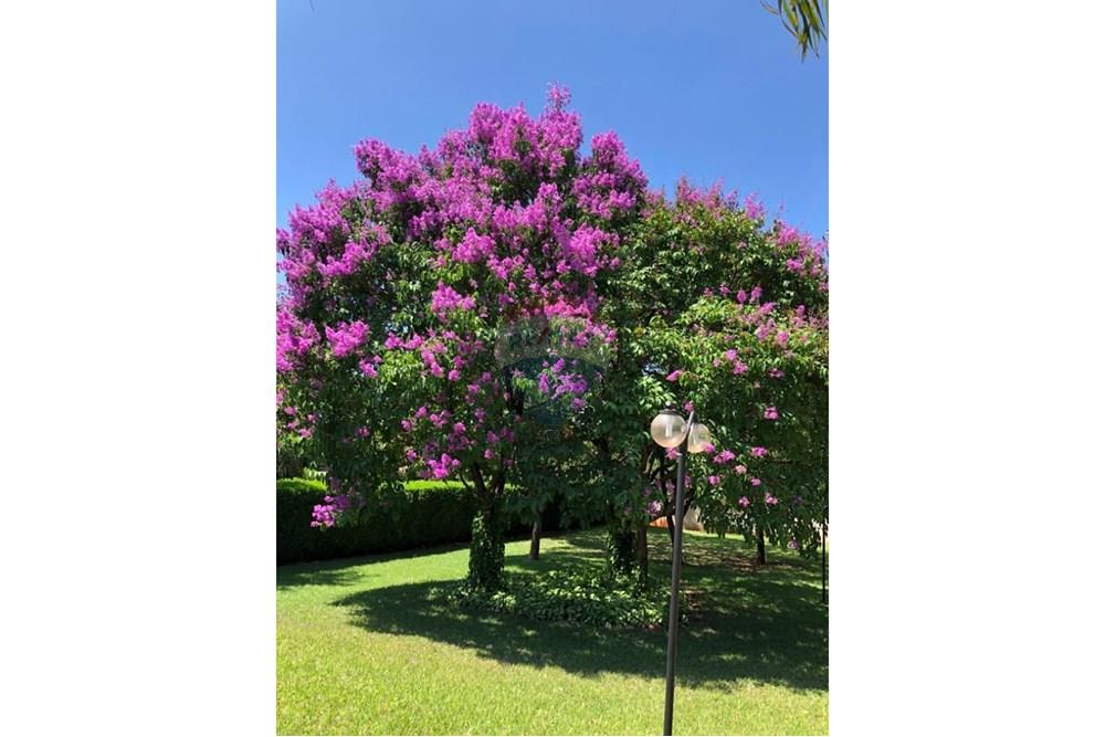 Casa de Condomínio - Venda - Ribeirão Preto , São Paulo - 05.jpeg - 780151014-70