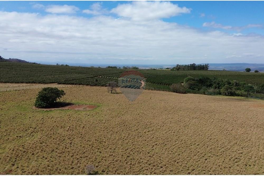 Fazenda - Venda - Cajuru , São Paulo - DJI_0302.JPG - 780171030-74