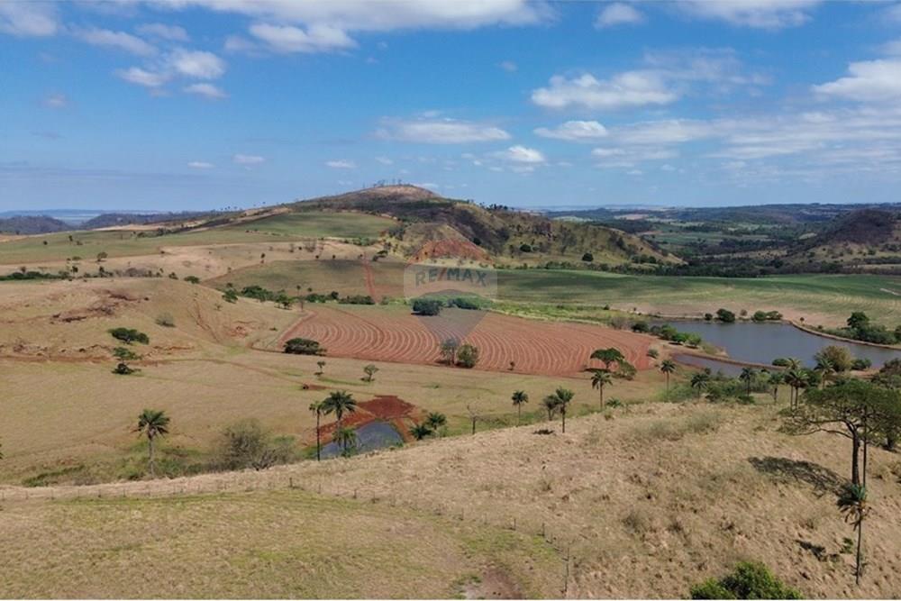 Fazenda - Venda - Cajuru , São Paulo - DJI_0304.JPG - 780171030-74