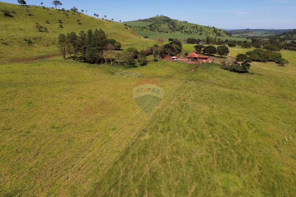 Fazenda - Venda - Cajuru , São Paulo - DJI_0022.JPG - 780171030-74