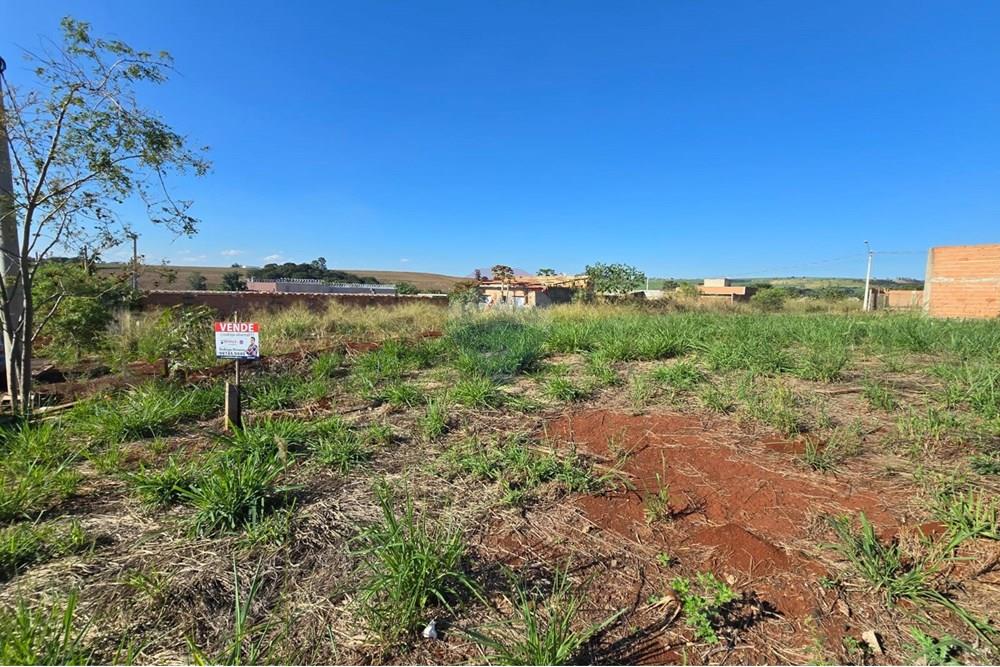 Terreno - Venda - Ribeirão Preto , São Paulo - WhatsApp Image 2025-06-11 at 17.53.05.jpeg - 780101051-1