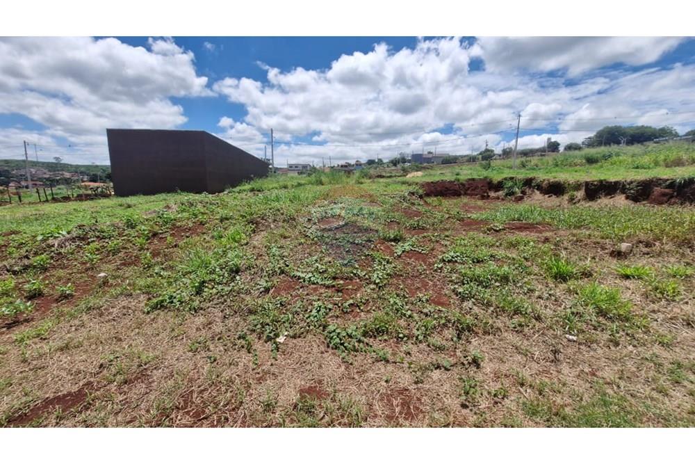 Terreno - Venda - Dumont , São Paulo - WhatsApp Image 2026-02-27 at 12.52.29 (13).jpeg - 780181011-292