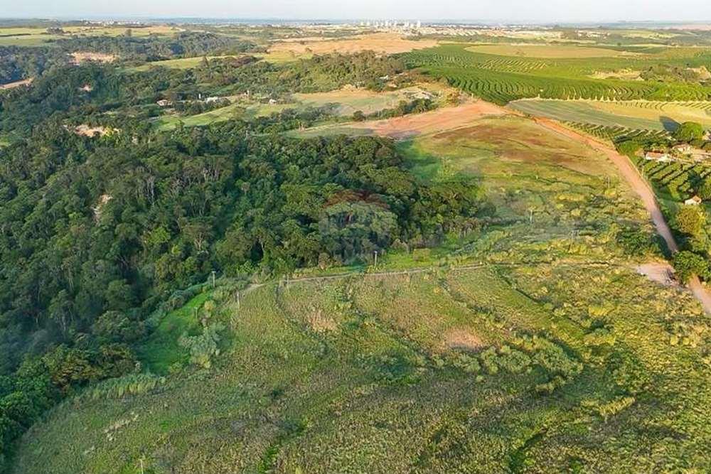 Chácara / Sítio / Fazenda - Venda - Monte Alto , São Paulo - foto 27.jpg - 780271059-44