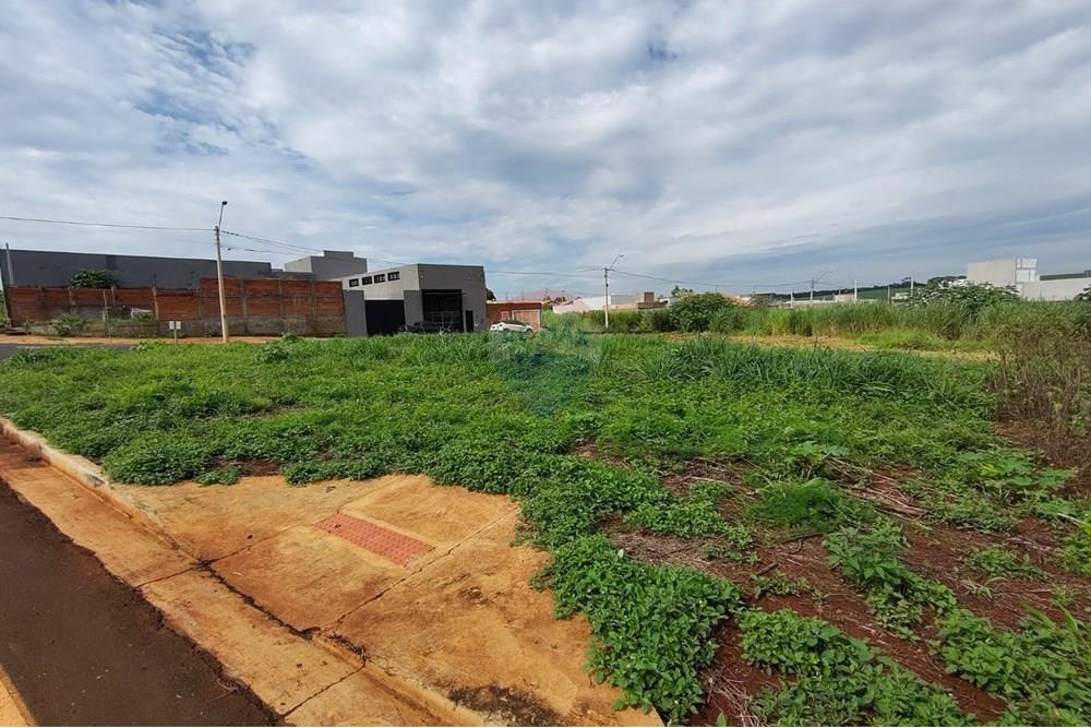 Terreno - Venda - Ribeirão Preto , São Paulo - WhatsApp Image 2025-02-14 at 12.11.38 (2).jpeg - 780201008-123