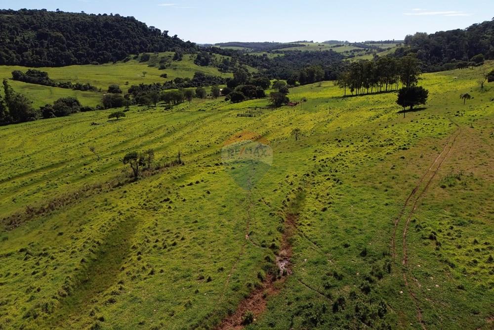 Fazenda - Venda - Cajuru , São Paulo - DJI_0019.JPG - 780171030-74