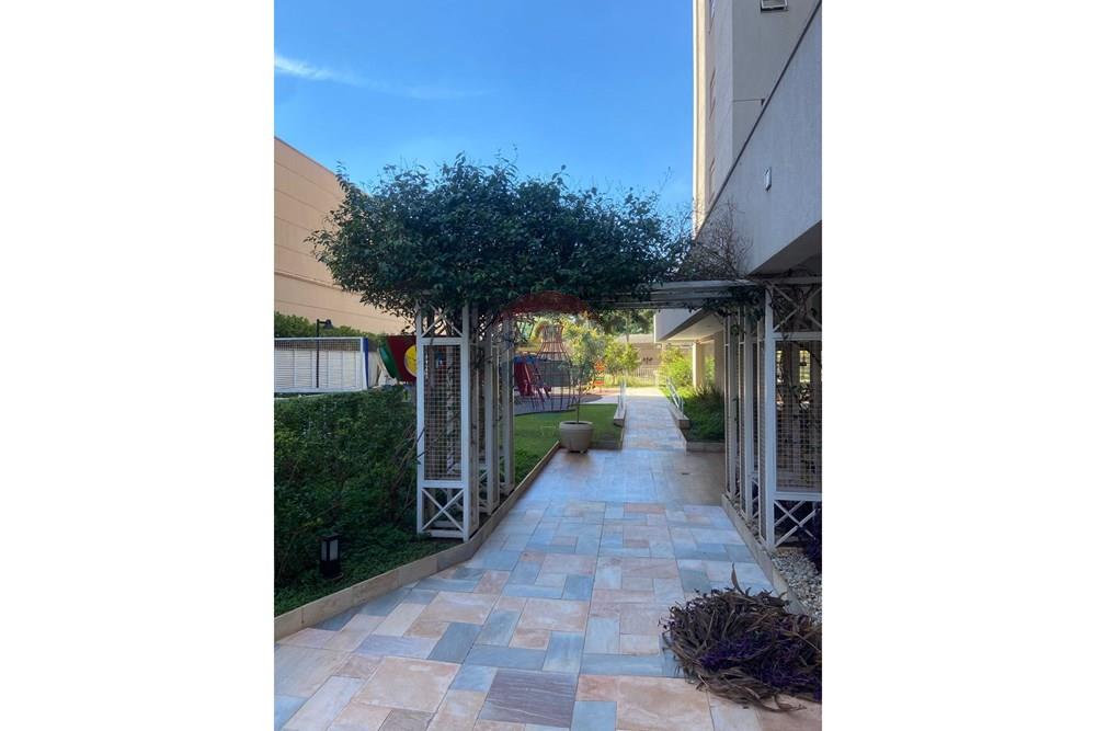 Apartamento - Alugar - Ribeirão Preto , São Paulo - dd8bcfdd-b26d-4eca-a5ce-829fd3335ff9.jpg - 780271039-31