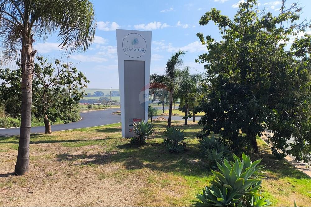 Terreno - Venda - Ribeirão Preto , São Paulo - IMG_20250701_110040.jpg - 780171009-224