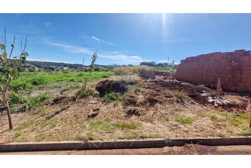 Terreno - Venda - Dumont , São Paulo - WhatsApp Image 2026-04-06 at 11.15.35 (12).jpeg - 780181011-299