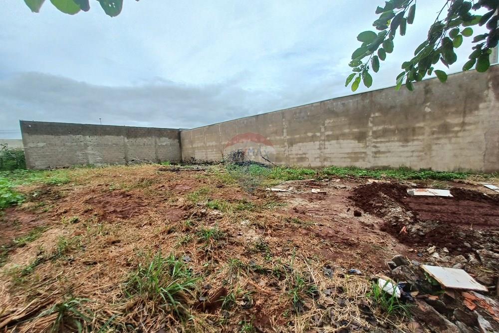 Terreno - Venda - Cravinhos , São Paulo - 20260225_114932.jpg - 780121006-94