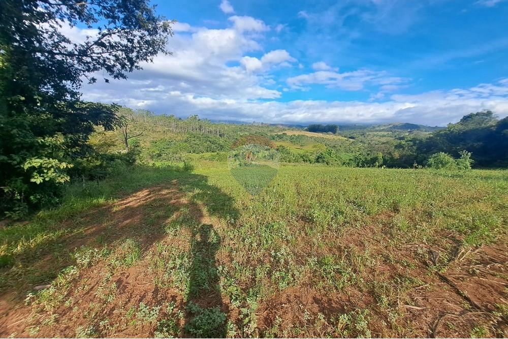 Fazenda - Venda - Cajuru , São Paulo - IMG-20250406-WA0191.jpg - 780171030-57