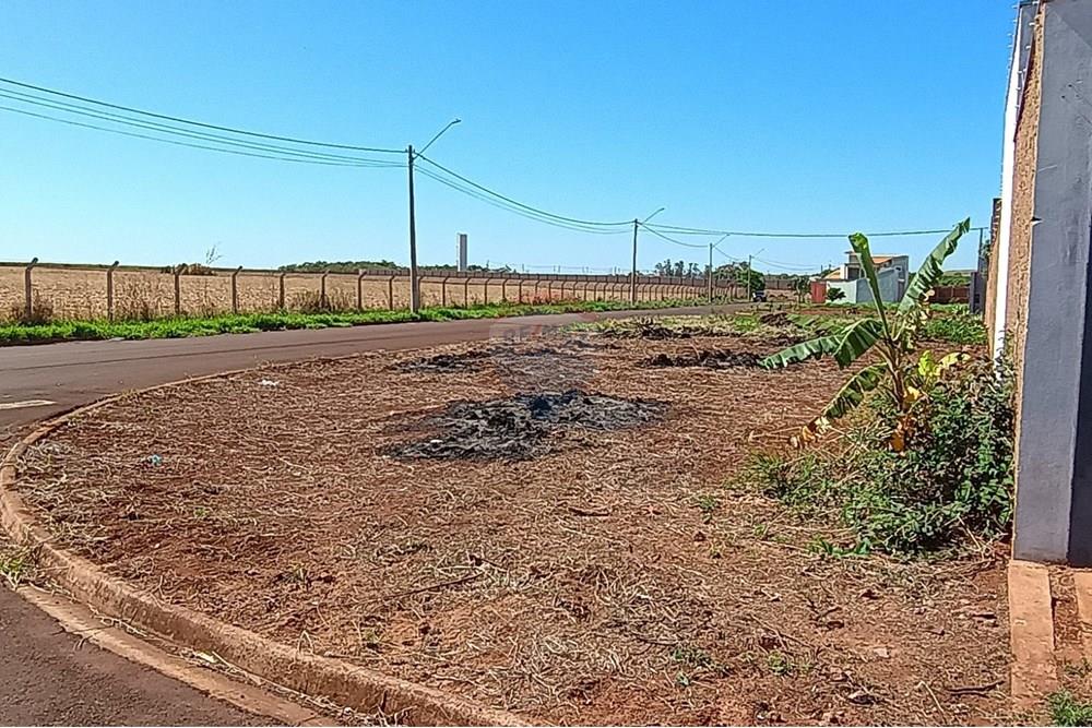 Terreno - Venda - São Joaquim da Barra , São Paulo - IMG-20251023-WA0052.jpg - 780301004-7