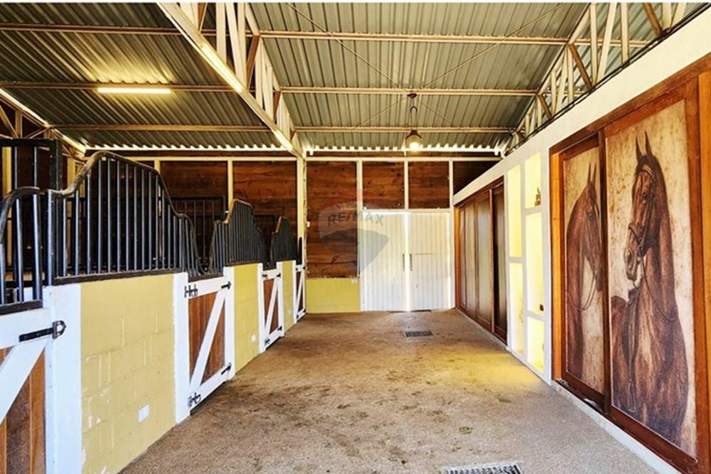 Chácara / Sítio / Fazenda - Venda - São Sebastião do Paraíso , Minas Gerais - 37.jpg - 780251022-11