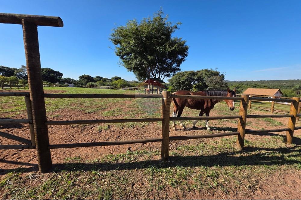 Chácara / Sítio / Fazenda - Venda - São Sebastião do Paraíso , Minas Gerais - a3.jpg - 780251022-11