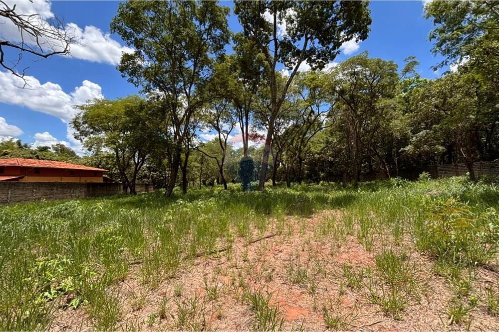 Terreno - Venda - Ribeirão Preto , São Paulo - 10.jpeg - 780121043-20