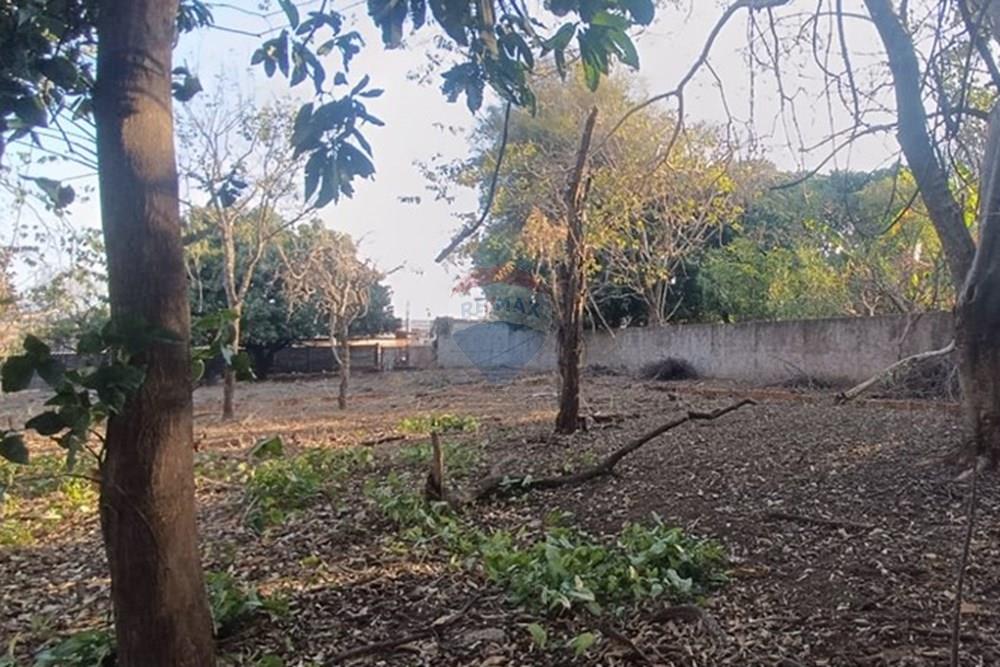 Chácara / Sítio / Fazenda - Venda - Franca , São Paulo - Imagem do WhatsApp de 2025-09-22 à(s) 10.23.56_47019dc1.jpg - 780231075-4