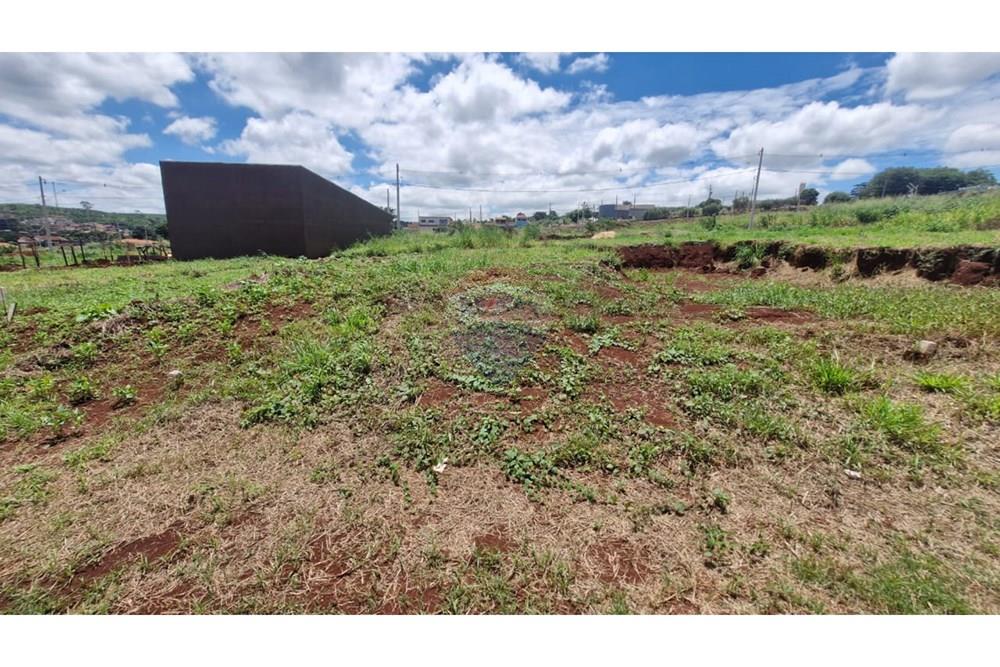 Terreno - Venda - Dumont , São Paulo - WhatsApp Image 2026-02-27 at 13.00.18.jpeg - 780181011-292