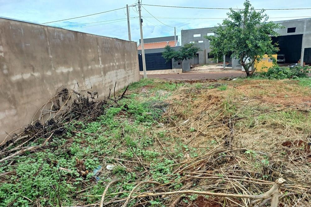 Terreno - Venda - Cravinhos , São Paulo - 20260225_114848.jpg - 780121006-94