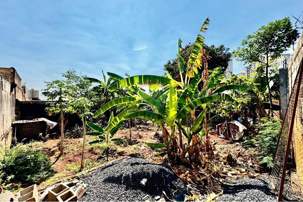 Terreno - Venda - Ribeirão Preto , São Paulo - WhatsApp Image 2025-10-06 at 15.31.36.jpeg - 780281008-17