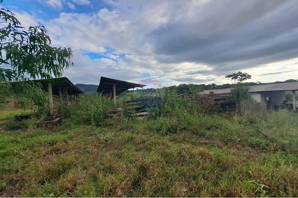 Fazenda - Venda - Cajuru , São Paulo - IMG-20250406-WA0103.jpg - 780171030-57