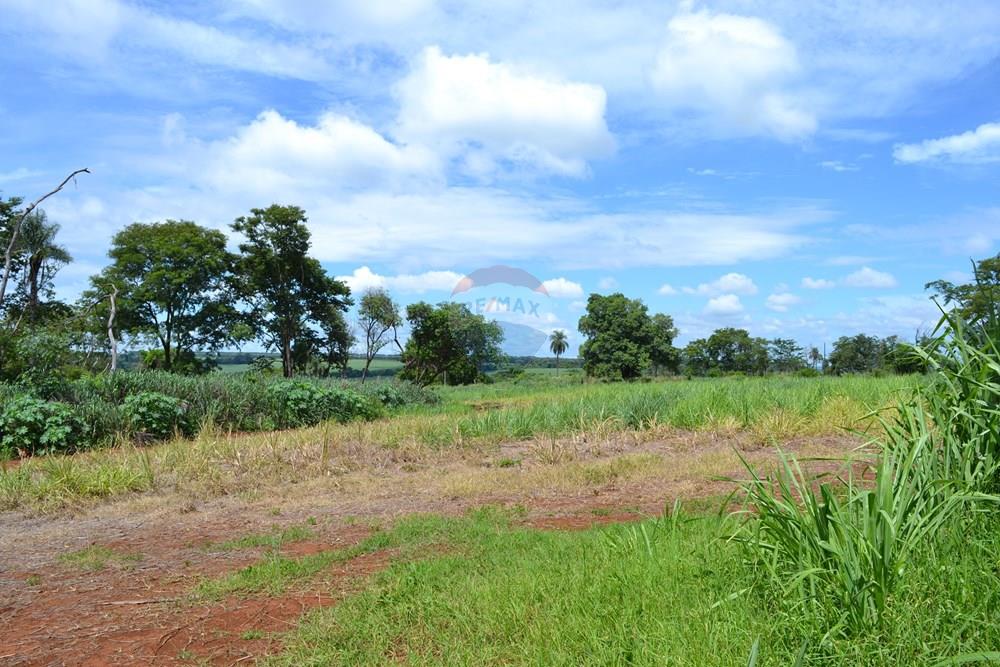 Agro - Venda - Luís Antônio , São Paulo - DSC_0121.JPG - 780071080-2