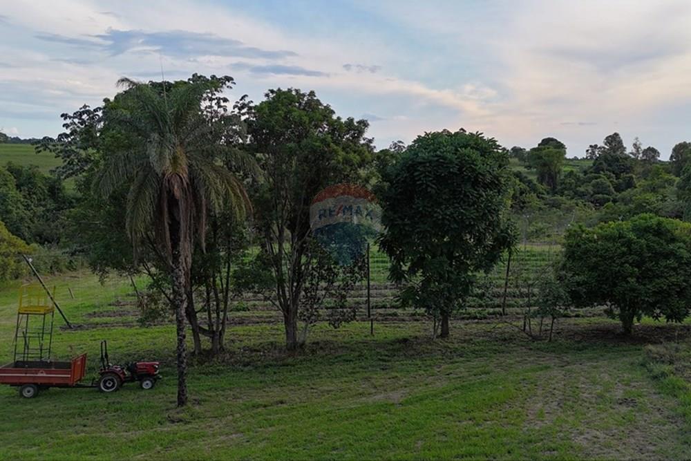 Fazenda - Venda - Cajuru , São Paulo - dji_fly_20241031_172330_0226_1730844787149_photo.jpg - 780271061-50