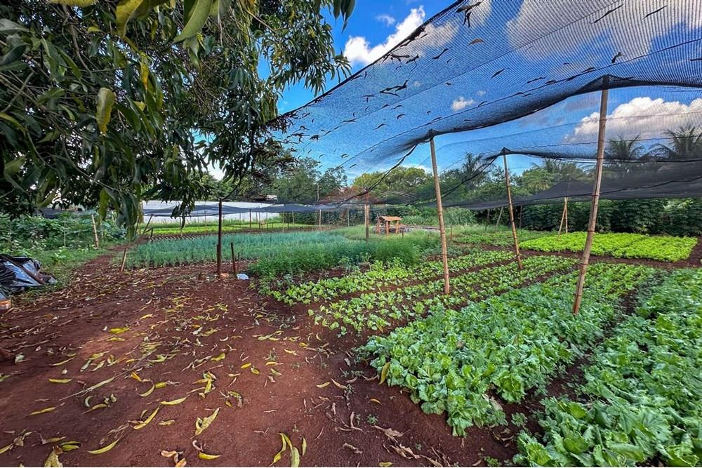 Terreno - Venda - Ribeirão Preto , São Paulo - 22.jpg - 780241010-16