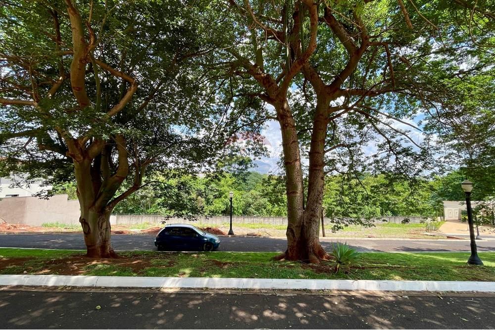 Terreno - Venda - Ribeirão Preto , São Paulo - image00006.jpeg - 780121005-78