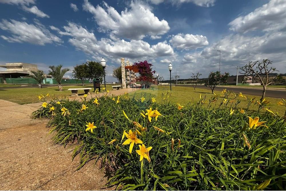 Terreno - Venda - Cristais Paulista , São Paulo - 841.jpeg - 780231007-101