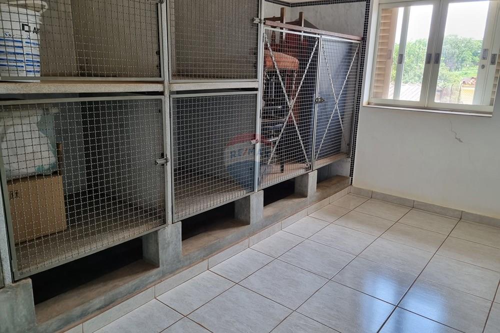 Casa Comercial - Alugar - Ribeirão Preto , São Paulo - 20260117_102156.jpg - 780171002-65