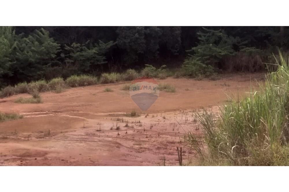 Terreno - Venda - Cristais Paulista , São Paulo - Imagem do WhatsApp de 2025-03-26 à(s) 16.23.26_73c788b7.jpg - 780231035-21