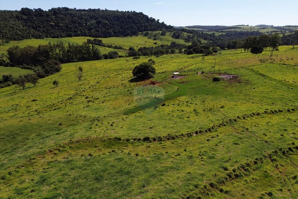 Fazenda - Venda - Cajuru , São Paulo - DJI_0018.JPG - 780171030-74